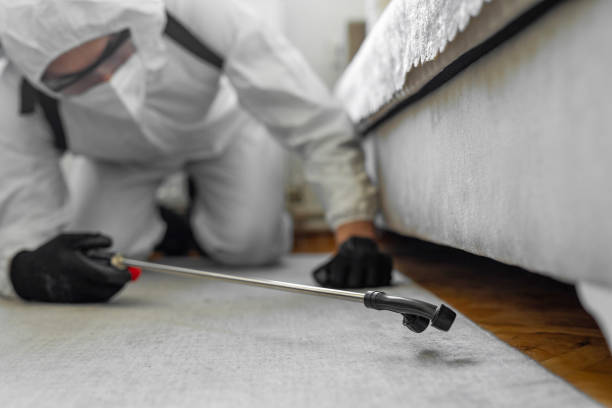 Professional Bed Bug Control technician working in Greenlawn, NY