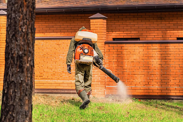 Trusted Fumigation Services service in Greenlawn, NY - Nex Pest Control